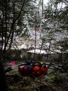 Blazed line through the woods